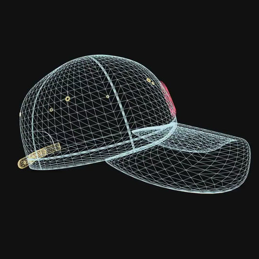 hat hologram